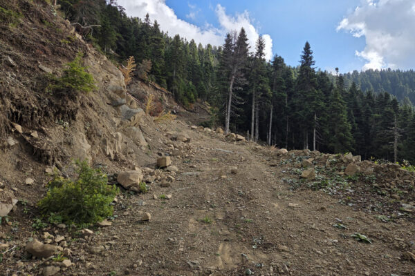tour gravel greece